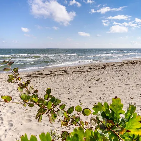 Villa Reethus Am Strand - Haushaelfte 2 Mit Kamin, Sauna Lobbe